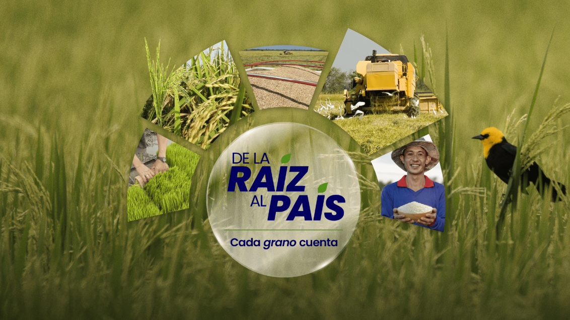 banner arroz.png