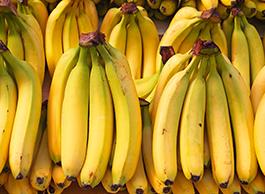 Banano