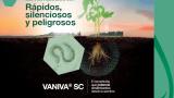 Los nemátodos son rápidos, silenciosos y peligrososRevisa más sobre nuestro producto Vaniva Aquí
