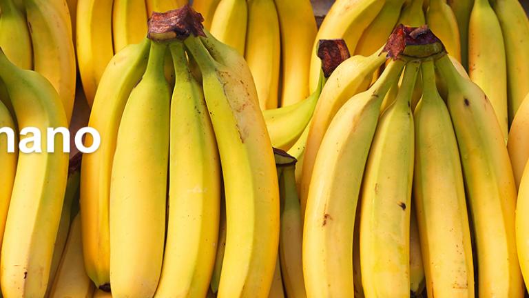 Banano
