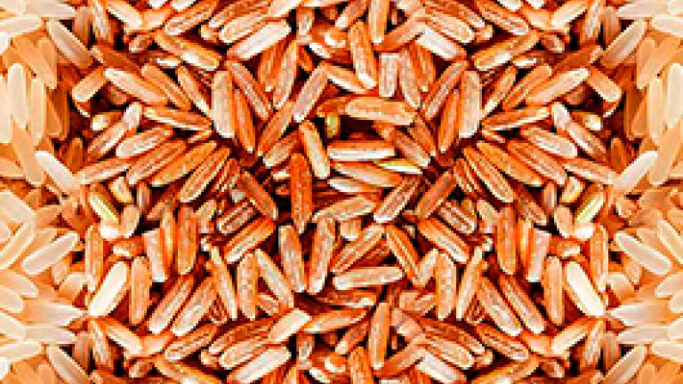 Arroz