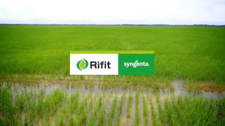 col_570x319_rifit.png