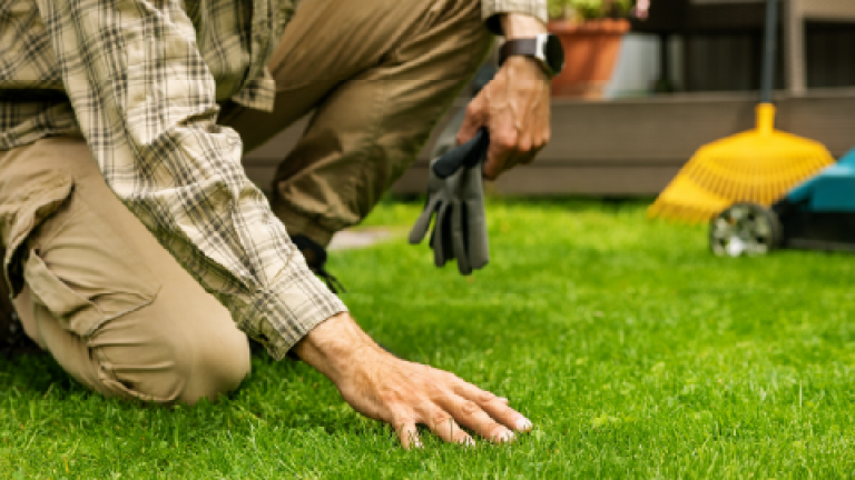 Persona arrodillada revisando césped verde con guantes de jardinería en mano