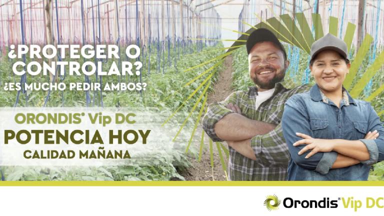 Banner publicitario de Orondis Vip DC con dos agricultores sonrientes en un invernadero