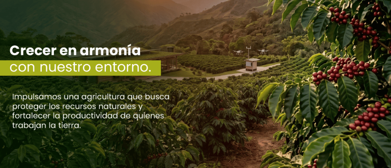 Fotografía de una plantación de café con granos rojos y montañas al fondo