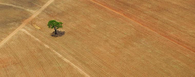 Cambio Climático