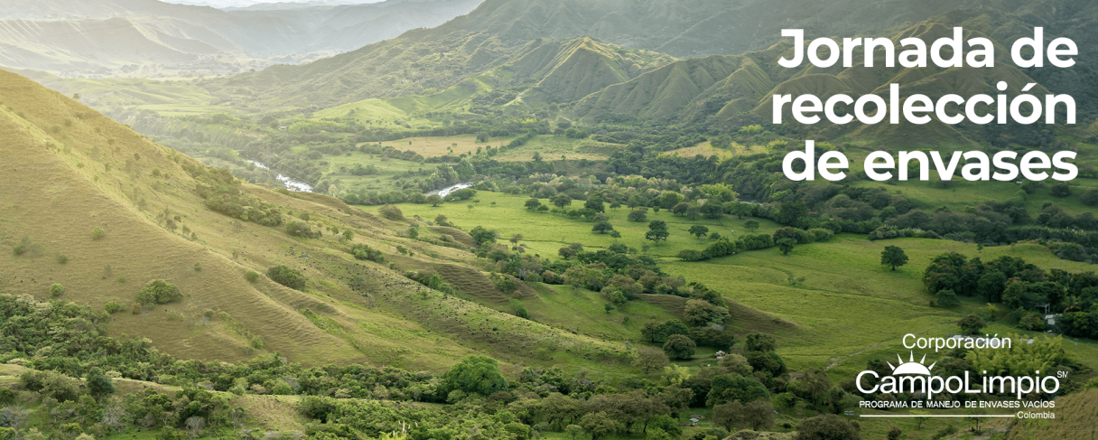 Campo Limpio Julio