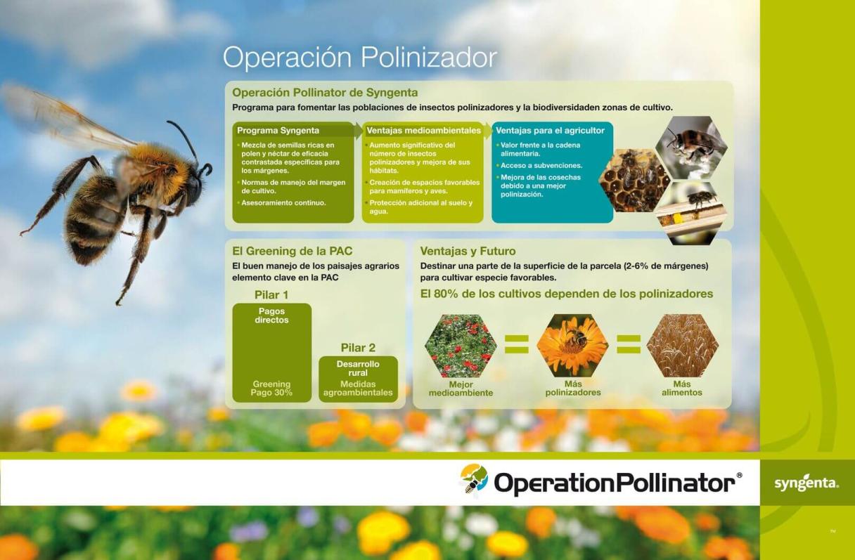 Lona Tomate Pollinator