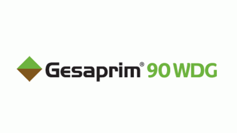 GESAPRIM NUEVE 90 WG, Herbicida