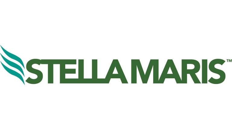 Logotipo de Stella Maris en verde con una ola estilizada
