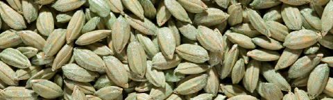 Primer plano de semillas de cardamomo verde amontonadas